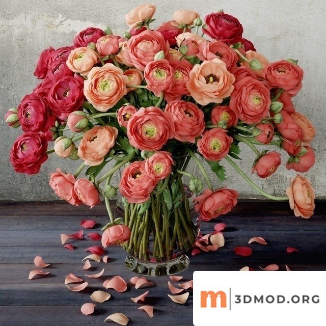 Ranunculus Bouquet