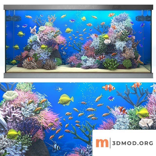 Seawater aquarium 1