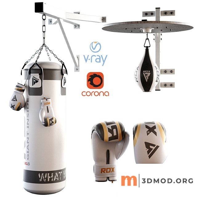 Set Punching Bag and Gloves From Rox 2