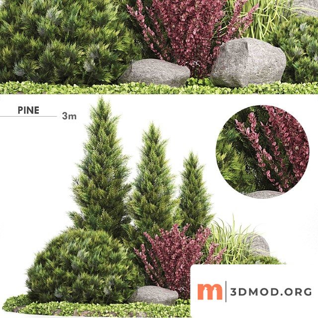 Set plants 223 - outdoor garden