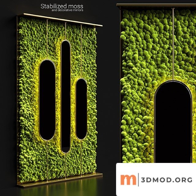 Stabilized Moss And Mirrors