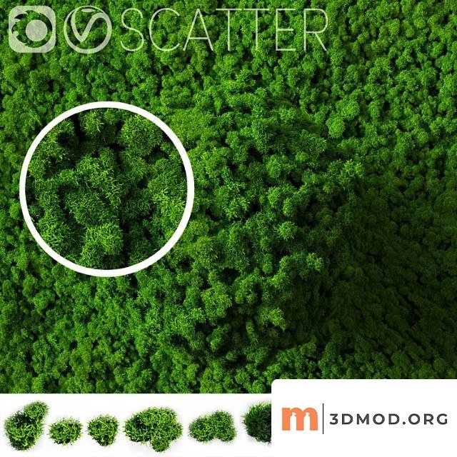 Stabilized moss for scatter