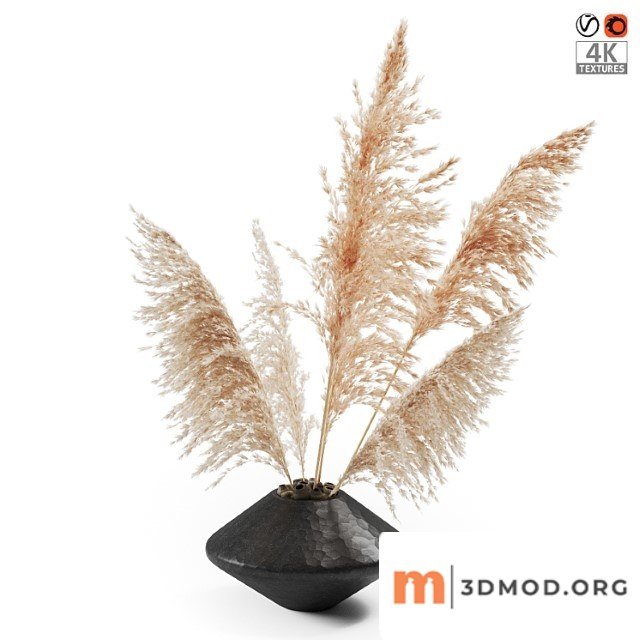 Vase with dried plants
