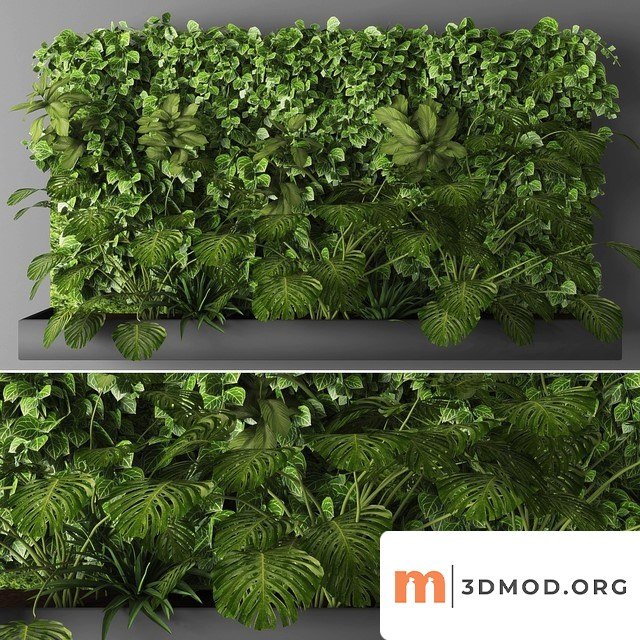 Vertical Garden 1