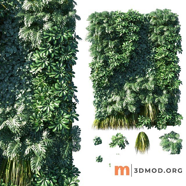 Vertical Garden Green Wall 02