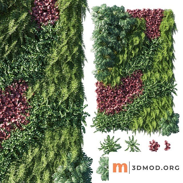 Vertical Garden Green Wall 04