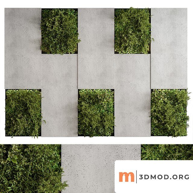 Vertical Garden Green Wall 77