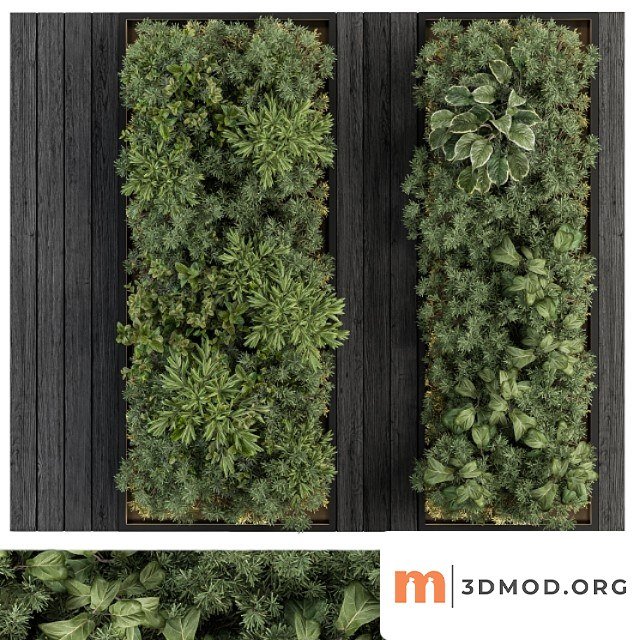 Vertical garden black frame - wall decor 38