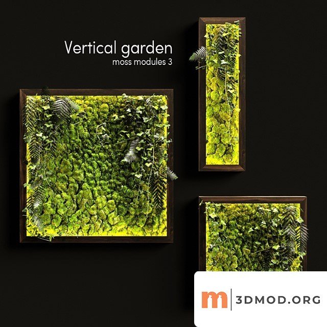Vertical garden. moss modules 3