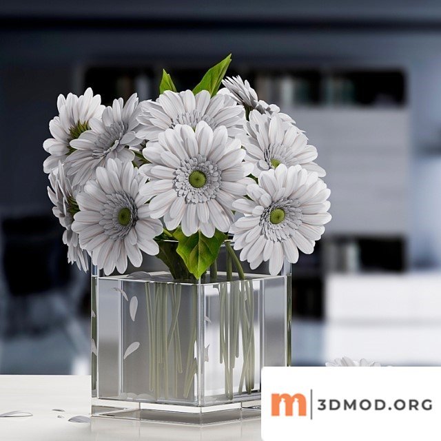 White Gerbera Flower