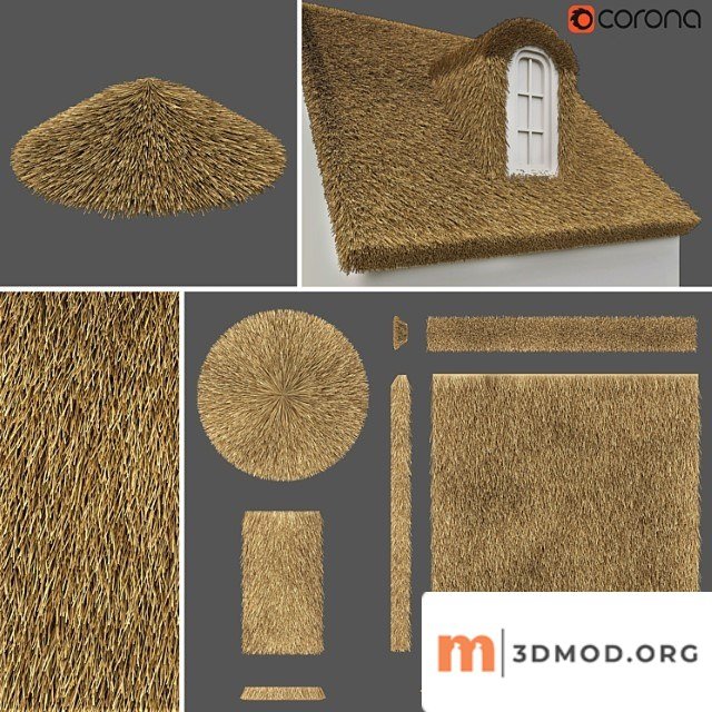 thatched roof. constructor.