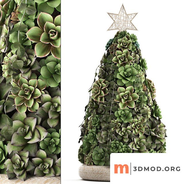 A collection of plants in a composition of succulents, christmas tree, cake, echeveria, decoration for the new year. set 420.