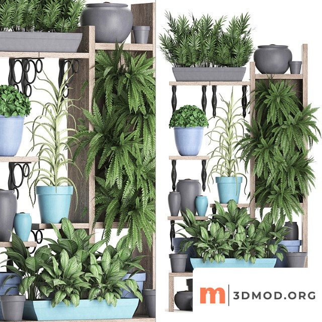Plant collection 367. shelf with plants, fern, flowerpot, greenery, vertical garden, phytowall, phytomodule, pots, eco design