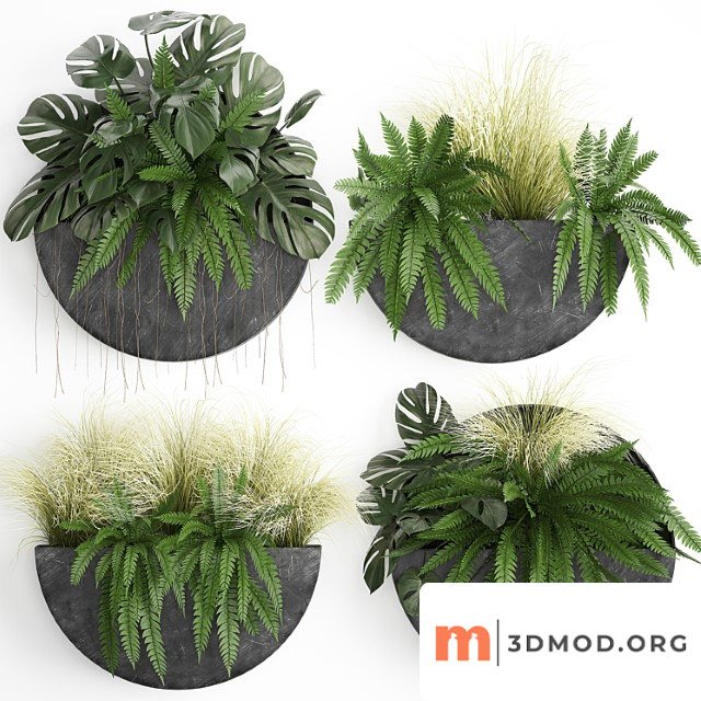 Vertical landscaping for the wall with a black metal shelf with flowers, garden, fern, monstera, grass. set 57