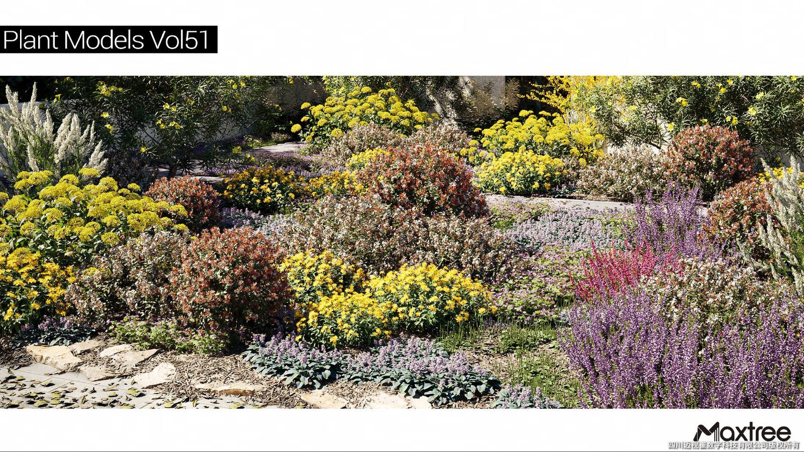 Maxtree - Plant Models Vol.51 new