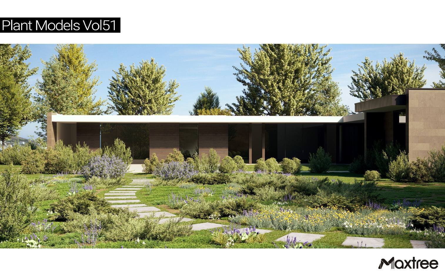 Maxtree - Plant Models Vol.51